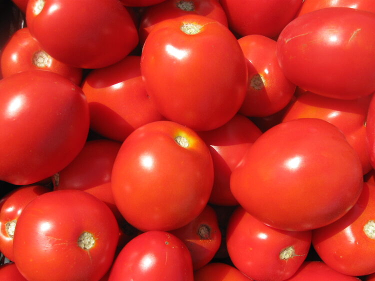 Tomato